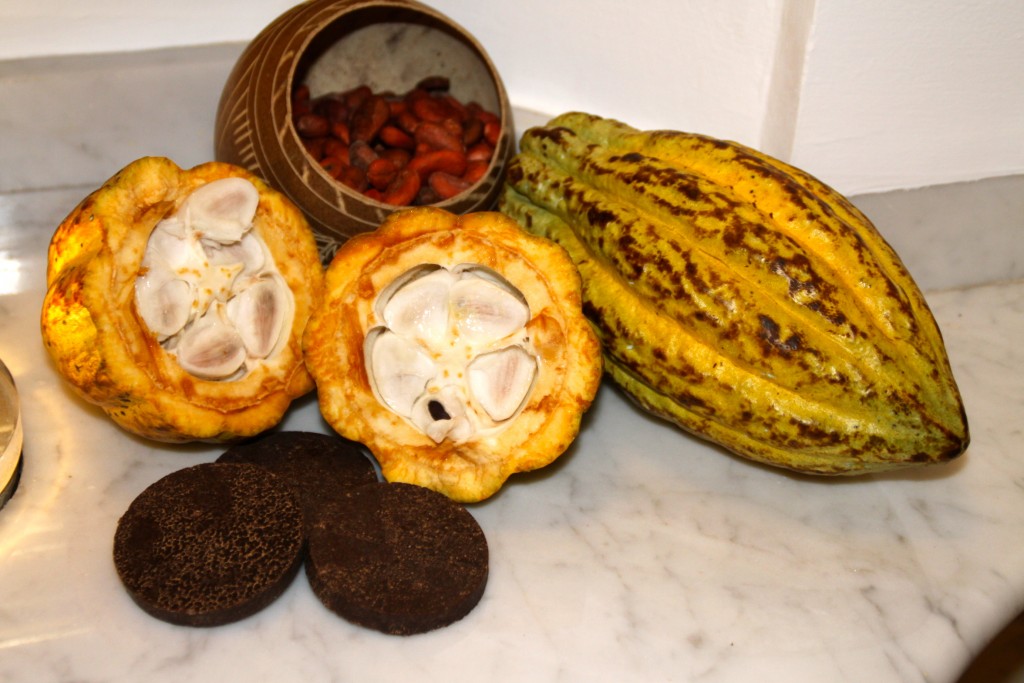les différentes étapes de la fève de Cacao